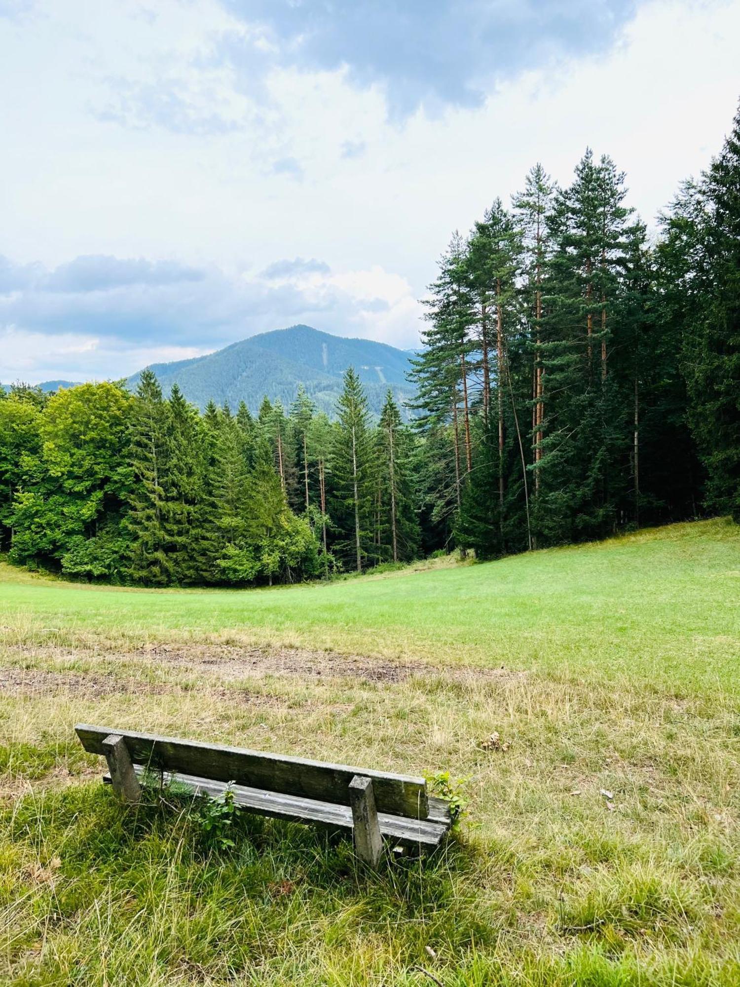 Dorfpension Mariahilfberg Gutenstein ภายนอก รูปภาพ